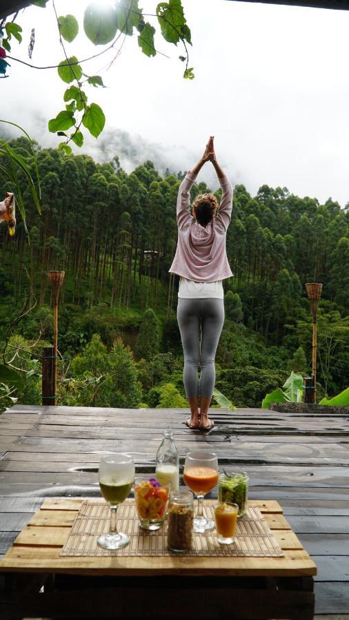 Creo Ecolodge 하르딘 외부 사진